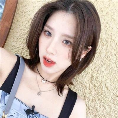 風情萬種野玫瑰